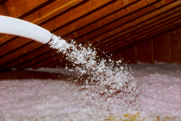 Insulation Replacement Services in Arvin, CA