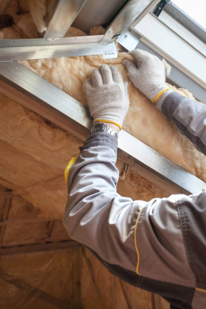 Best Blown-in Insulation  in Arvin, CA