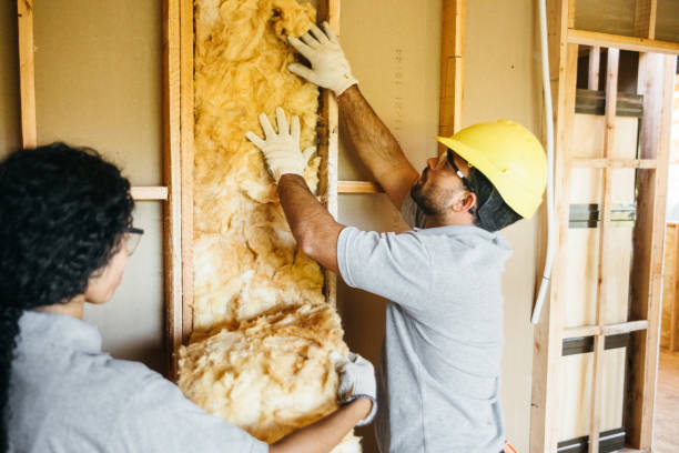 Best Energy-efficient Insulation  in Arvin, CA