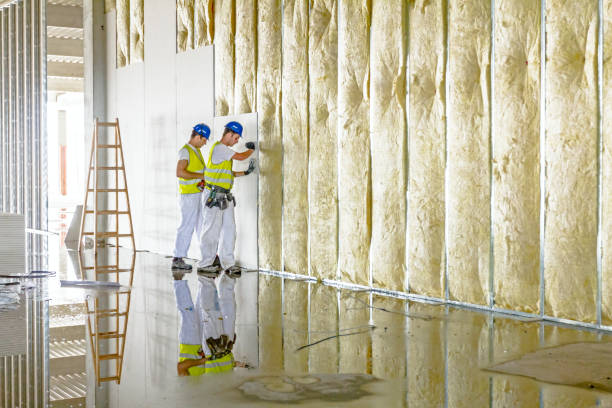 Best Wall Insulation Contractor  in Arvin, CA